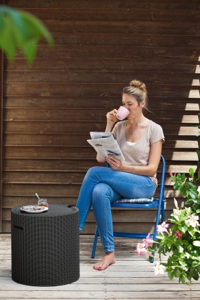 Столик-холодильник Кул-Стул (Cool stool) коричневый в Кудымкаре - kudymkar.mebel24.online | фото 2