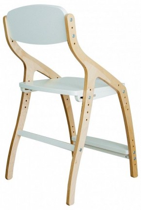Стул Эверест в Кудымкаре - kudymkar.mebel24.online | фото 3