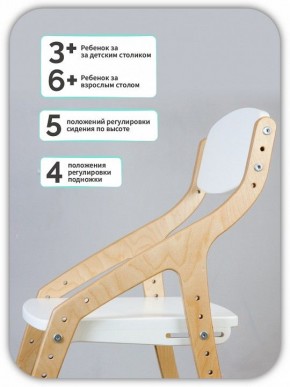 Стул Эверест в Кудымкаре - kudymkar.mebel24.online | фото 5
