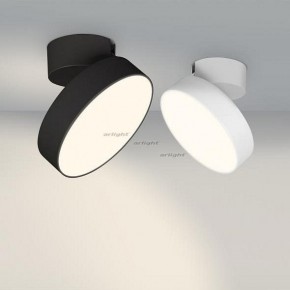Светильник на штанге Arlight SP-RONDO-FLAP-R210-20W Day4000 (BK, 110 deg) 026453 в Кудымкаре - kudymkar.mebel24.online | фото 3