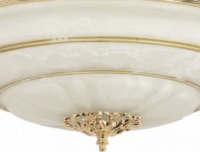 Светильник на штанге Arti Lampadari Pavia Pavia E 1.13.P40 G в Кудымкаре - kudymkar.mebel24.online | фото 3
