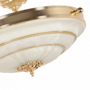 Светильник на штанге Arti Lampadari Pavia Pavia E 1.13.P40 G в Кудымкаре - kudymkar.mebel24.online | фото 5
