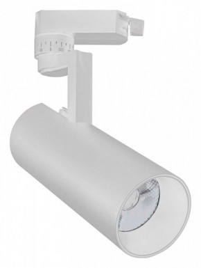 Светильник на штанге Escada 20029 20029TRA/02LED SWH в Кудымкаре - kudymkar.mebel24.online | фото
