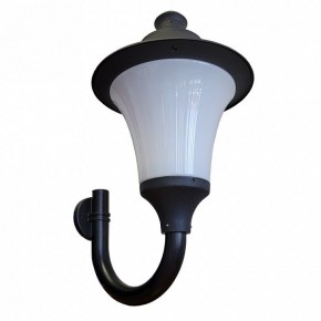 Светильник на штанге Fumagalli Remo R50.251.000.AYE27 в Кудымкаре - kudymkar.mebel24.online | фото 3