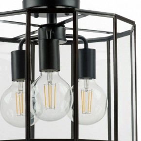 Светильник на штанге Lightstar Genni 798237 в Кудымкаре - kudymkar.mebel24.online | фото 4