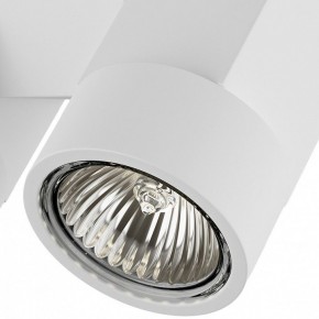 Светильник на штанге Lightstar Illumo X2 051036 в Кудымкаре - kudymkar.mebel24.online | фото 2