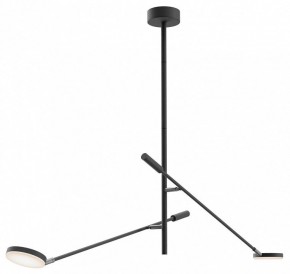 Светильник на штанге Maytoni Fad MOD070CL-L15B3K1 в Кудымкаре - kudymkar.mebel24.online | фото