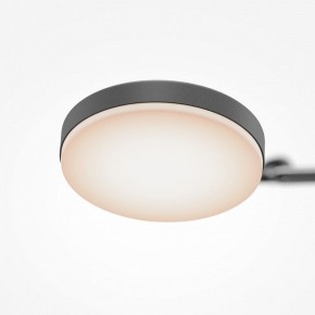Светильник на штанге Maytoni Fad MOD070CL-L15B3K1 в Кудымкаре - kudymkar.mebel24.online | фото 7