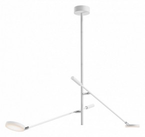 Светильник на штанге Maytoni Fad MOD070CL-L15W3K1 в Кудымкаре - kudymkar.mebel24.online | фото