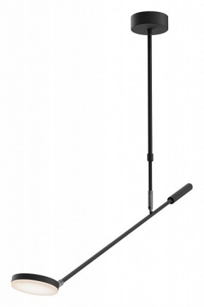Светильник на штанге Maytoni Fad MOD070CL-L8B3K в Кудымкаре - kudymkar.mebel24.online | фото