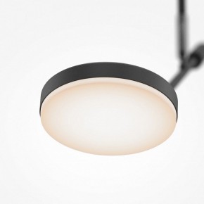 Светильник на штанге Maytoni Fad MOD070CL-L8B3K в Кудымкаре - kudymkar.mebel24.online | фото 4