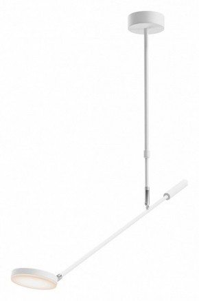 Светильник на штанге Maytoni Fad MOD070CL-L8W3K в Кудымкаре - kudymkar.mebel24.online | фото