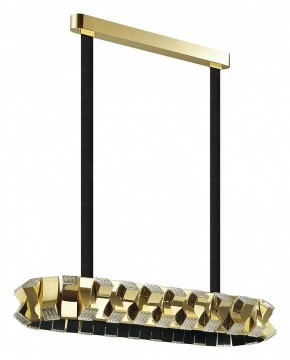 Светильник на штанге Odeon Light Asturo 4993/80LA в Кудымкаре - kudymkar.mebel24.online | фото 3