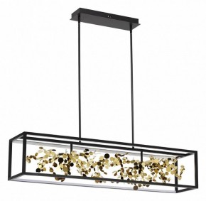 Светильник на штанге Odeon Light Bild 5065/65L в Кудымкаре - kudymkar.mebel24.online | фото