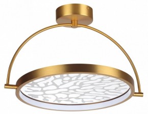 Светильник на штанге Odeon Light Solaris 6627/36CL в Кудымкаре - kudymkar.mebel24.online | фото
