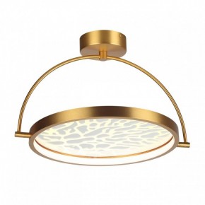 Светильник на штанге Odeon Light Solaris 6627/36CL в Кудымкаре - kudymkar.mebel24.online | фото 3