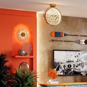 Светильник на штанге Odeon Light Solaris 6627/36CL в Кудымкаре - kudymkar.mebel24.online | фото 6