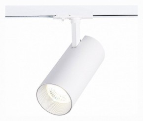 Светильник на штанге ST-Luce Mono ST350.536.30.36 в Кудымкаре - kudymkar.mebel24.online | фото 2