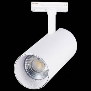 Светильник на штанге ST-Luce Mono ST350.536.30.36 в Кудымкаре - kudymkar.mebel24.online | фото 6