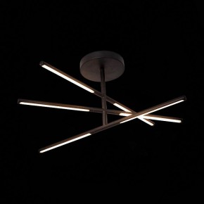 Светильник на штанге ST-Luce Ralio SL1580.403.03 в Кудымкаре - kudymkar.mebel24.online | фото 3