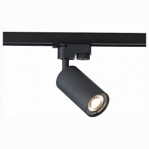 Светильник на штанге ST-Luce Solt ST300.406.01 в Кудымкаре - kudymkar.mebel24.online | фото 1