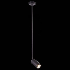 Светильник на штанге ST-Luce Sormano SL1206.403.01 в Кудымкаре - kudymkar.mebel24.online | фото 3