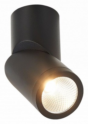 Светильник на штанге ST-Luce ST650 ST650.442.10 в Кудымкаре - kudymkar.mebel24.online | фото 2