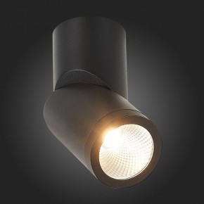 Светильник на штанге ST-Luce ST650 ST650.442.10 в Кудымкаре - kudymkar.mebel24.online | фото 6