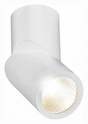 Светильник на штанге ST-Luce ST650 ST650.532.10 в Кудымкаре - kudymkar.mebel24.online | фото 3