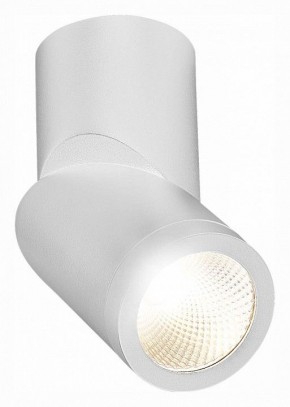 Светильник на штанге ST-Luce ST650 ST650.542.10 в Кудымкаре - kudymkar.mebel24.online | фото 3