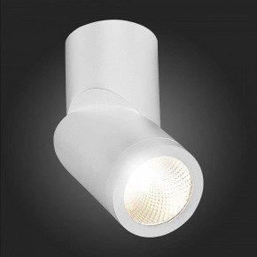 Светильник на штанге ST-Luce ST650 ST650.542.10 в Кудымкаре - kudymkar.mebel24.online | фото 6