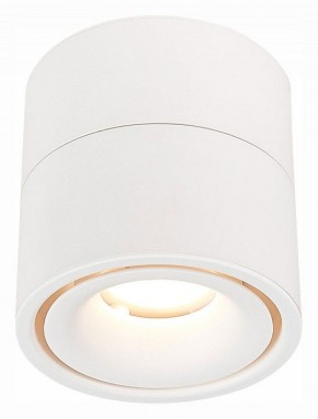 Светильник на штанге ST-Luce ST652 ST652.532.12 в Кудымкаре - kudymkar.mebel24.online | фото 2