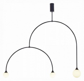 Светильник на штанге ST-Luce Vive SL1187.403.03 в Кудымкаре - kudymkar.mebel24.online | фото 2