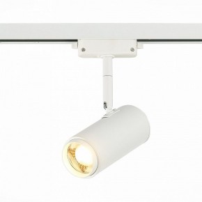 Светильник на штанге ST-Luce Zoom ST600.536.12 в Кудымкаре - kudymkar.mebel24.online | фото 2