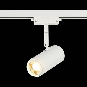 Светильник на штанге ST-Luce Zoom ST600.536.12 в Кудымкаре - kudymkar.mebel24.online | фото 4