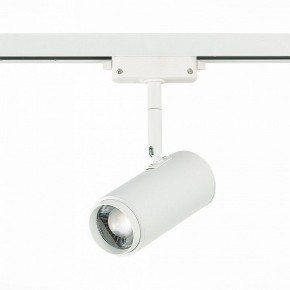 Светильник на штанге ST-Luce Zoom ST600.546.12 в Кудымкаре - kudymkar.mebel24.online | фото 3