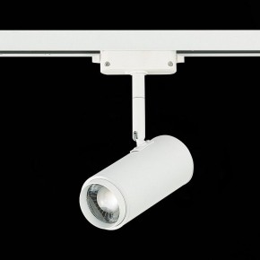 Светильник на штанге ST-Luce Zoom ST600.546.12 в Кудымкаре - kudymkar.mebel24.online | фото 5