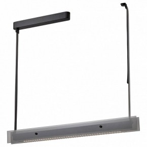 Светильник на штанге Wertmark Kuno WE435.10.023 в Кудымкаре - kudymkar.mebel24.online | фото