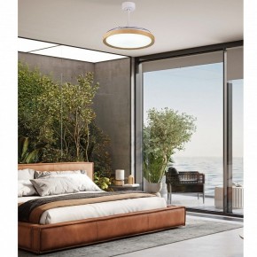 Светильник с вентилятором Mantra Mistral 8830 в Кудымкаре - kudymkar.mebel24.online | фото 2