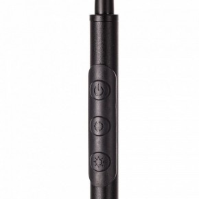 Торшер Citilux Alex CL804051 в Кудымкаре - kudymkar.mebel24.online | фото 4