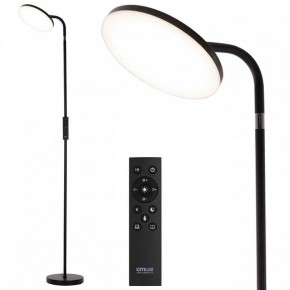 Торшер Citilux SOLO CL804061 в Кудымкаре - kudymkar.mebel24.online | фото 2