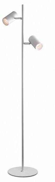 Торшер Citilux Twin CL809010N в Кудымкаре - kudymkar.mebel24.online | фото
