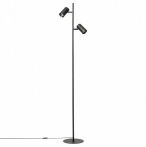 Торшер Citilux Twin CL809011N в Кудымкаре - kudymkar.mebel24.online | фото