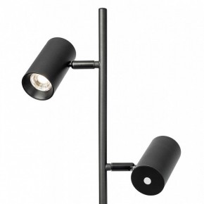 Торшер Citilux Twin CL809011N в Кудымкаре - kudymkar.mebel24.online | фото 6