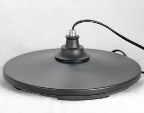 Торшер Lussole Greene LSP-0572 в Кудымкаре - kudymkar.mebel24.online | фото 4