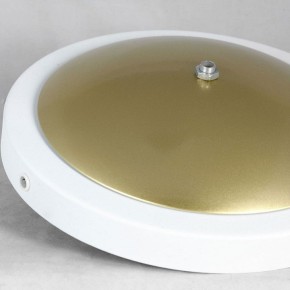 Торшер Lussole LSP-062 LSP-0625 в Кудымкаре - kudymkar.mebel24.online | фото 2
