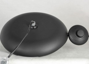 Торшер Lussole Flagstaff LSP-0629 в Кудымкаре - kudymkar.mebel24.online | фото 5