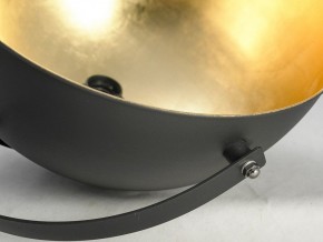 Торшер Lussole Sherrelwood GRLSP-9824 в Кудымкаре - kudymkar.mebel24.online | фото 11