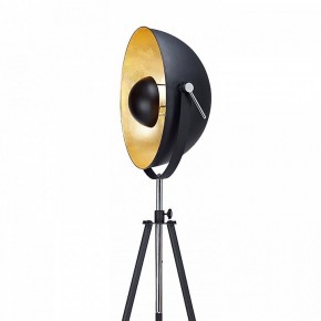 Торшер Lussole Sherrelwood LSP-9824 в Кудымкаре - kudymkar.mebel24.online | фото 2
