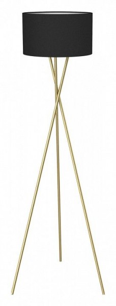 Торшер Lussole Truxton LSP-0635 в Кудымкаре - kudymkar.mebel24.online | фото